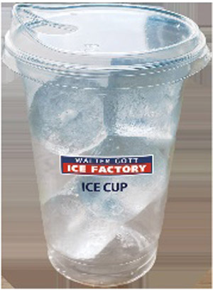 Ice Cup
